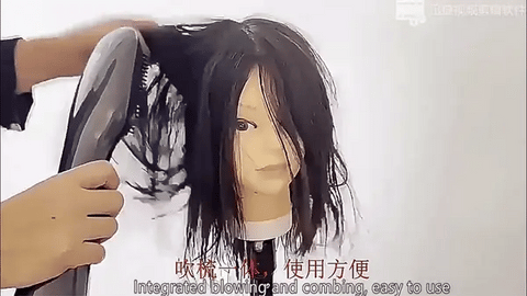 Refura - 2-in-1 Unique Hair Styler